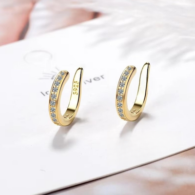 Earfix – Orecchino riutilizzabile per un Look Naturale che Armonizza il Tuo Viso